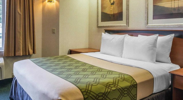 Номер Standard Econo Lodge North Academy