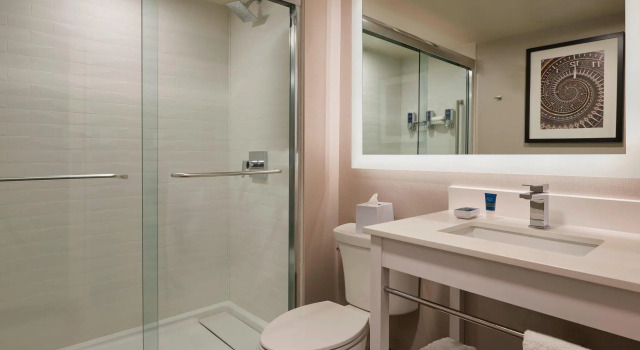 Двухместный номер Standard Four Points by Sheraton Toronto Airport East