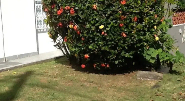 Villa with 3 Bedrooms in Fort-De-France, with Enclosed Garden And Wifi - 4 Km From the Beach, Book Villa Fort-de-France Martinique