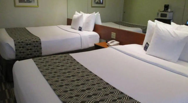 Четырёхместный номер Standard Microtel Inn and Suites - Inver Grove Heights
