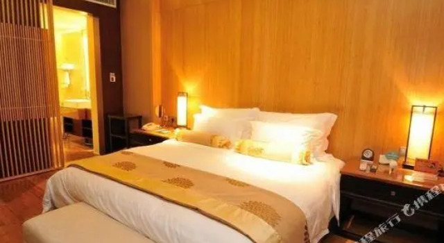 Люкс Sanjiang Forest Hot Spring Dumashi Hotel