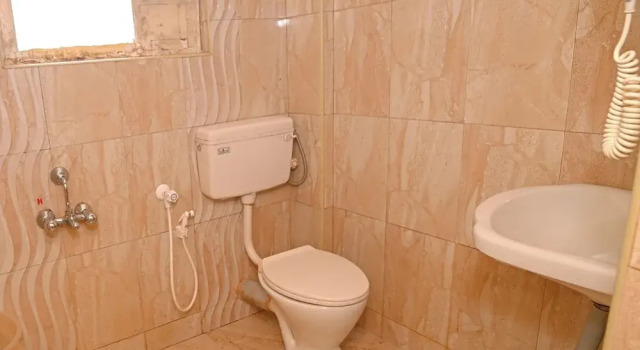 Двухместный номер Deluxe с красивым видом из окна Hotel Vivek