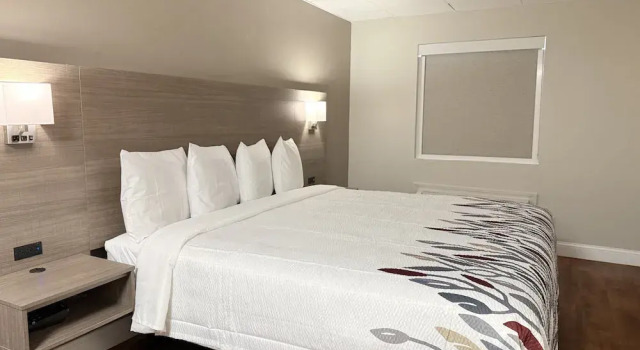 Номер Deluxe Red Roof Inn & Suites Swansea