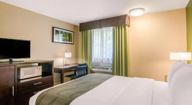 Номер Standard Quality Inn & Suites Albany Corvallis