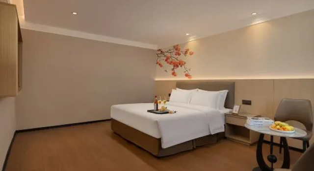 Люкс Deluxe Tailin Business Hotel