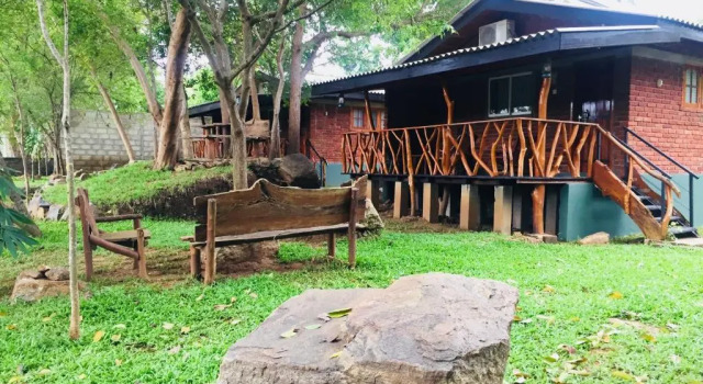 Номер Standard Birds Paradise Inn