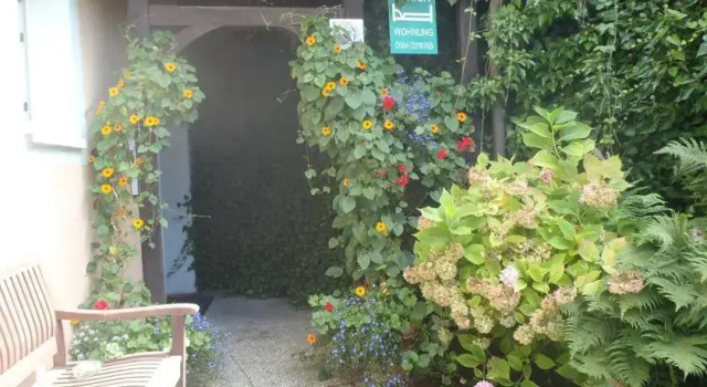 Appartementhaus Riedl, Prenota Hotel Bad Ischl Alta Austria
