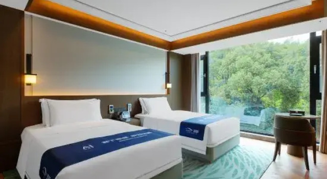 Люкс Deluxe с 2 комнатами Liyang Hentique Resort & Spa Villa