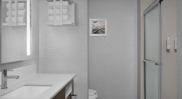 Номер Standard Hampton Inn & Suites Jacksonville South - Bartram Park