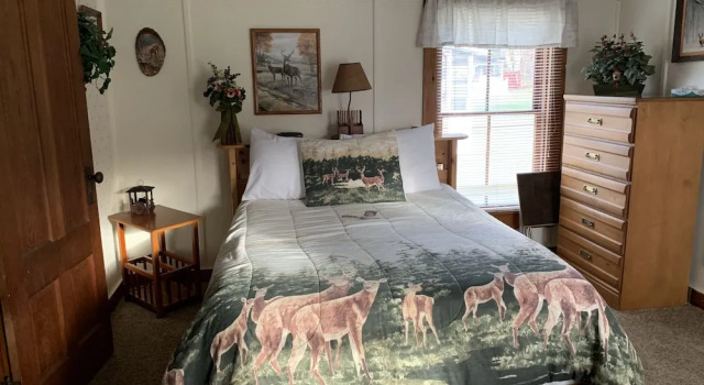 Студия Carroll Motel & Cottages