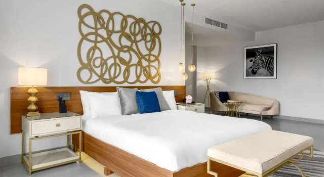 Номер Superior The Art Hotel