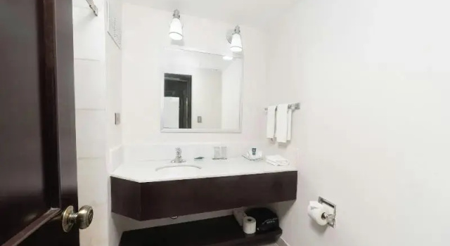 Двухместный люкс Four Points by Sheraton Saltillo