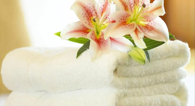Одноместный номер Hotel Villa dEste