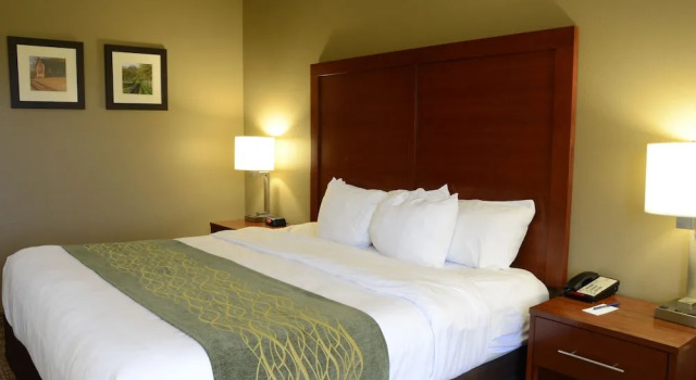 Двухместный люкс Comfort Inn & Suites Cave City