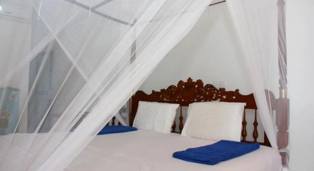 Трёхместный номер Standard с видом на бассейн Paradise Beach Resort & Diving school