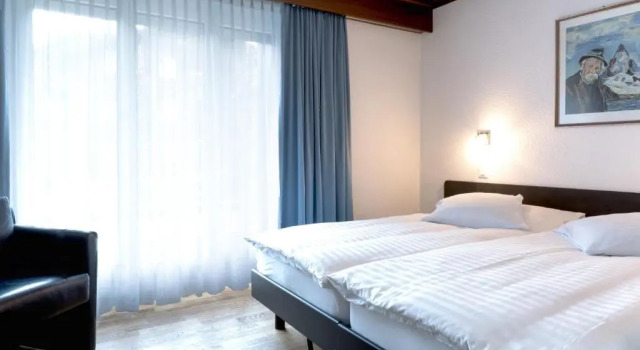 Двухместный номер Standard с видом на горы Hotel Bristol