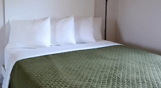 Люкс Detroit Vacation Rental