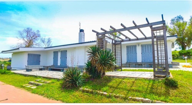 Haddock Beachfront Villa, Rezerwuj Willa Wille w Macedonia, Willa