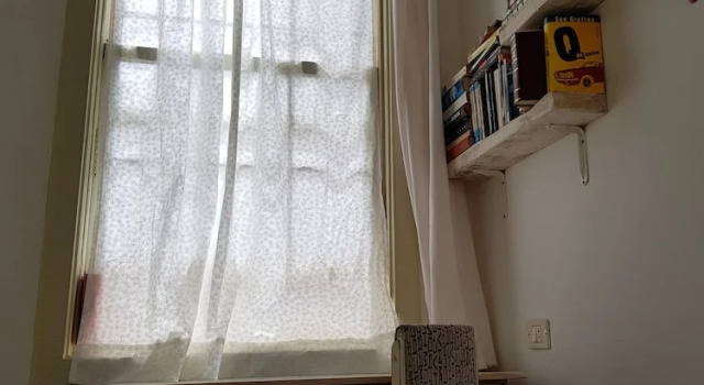 Номер Standard Ratones de Biblioteca