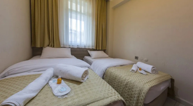 Апартаменты c 1 комнатой с балконом Basaranlar Thermal Otel