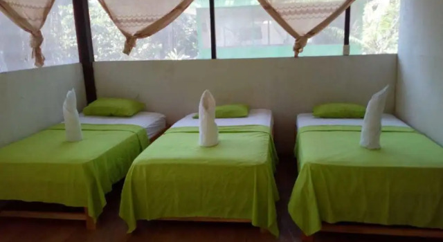 Amazon Canopy Expeditions Ecolodge