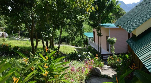 Phi Phi Jungle Hill Bungalow