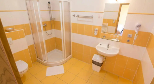 Трёхместный номер Standard Penzion Maděřič