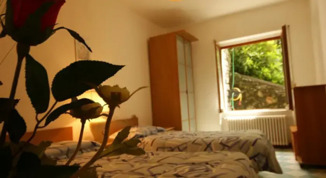 Fragola di bosco, Buchen Sie Hotel Premeno Lago Maggiore