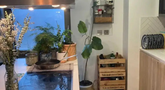 Pet Friendly 1 Bedroom Apartment in London Fields