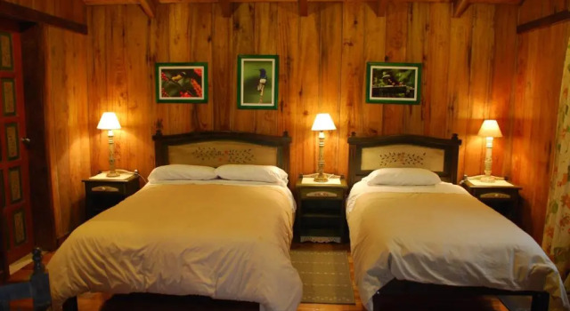 Бунгало Superior Sachatamia Lodge