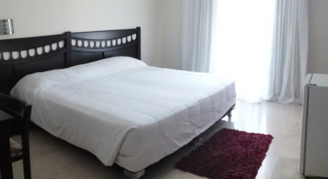 Одноместный номер Executive Hotel Suite Continental