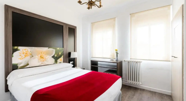 Двухместный номер Economy Hotel Sevilla