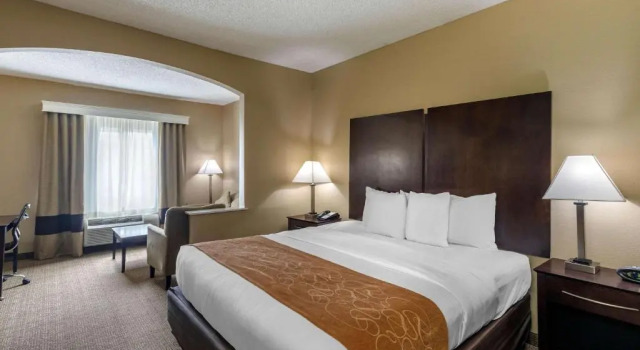 Номер Standard Comfort Suites The Colony - Plano West