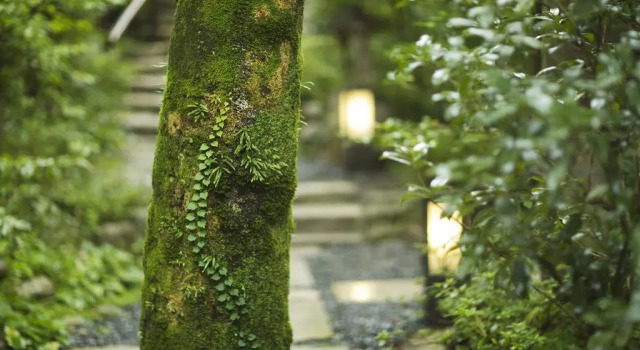 Kotobukitei, Reserva ahora Hotel Komono Mie