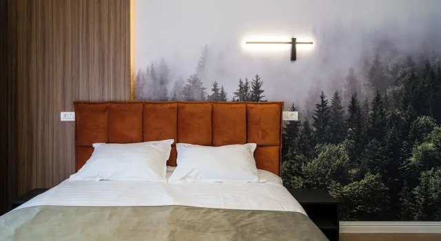 Люкс Superior Transalpina Retreat