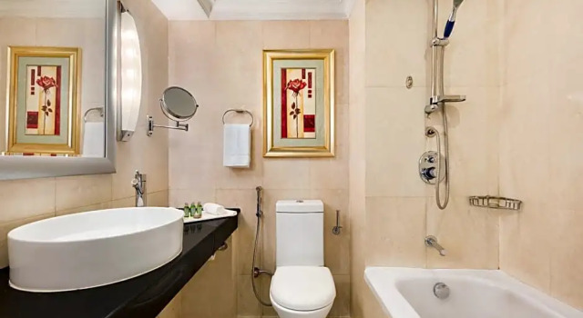 Camera Executive Ramada Plaza by Wyndham Karachi Airport Hotel