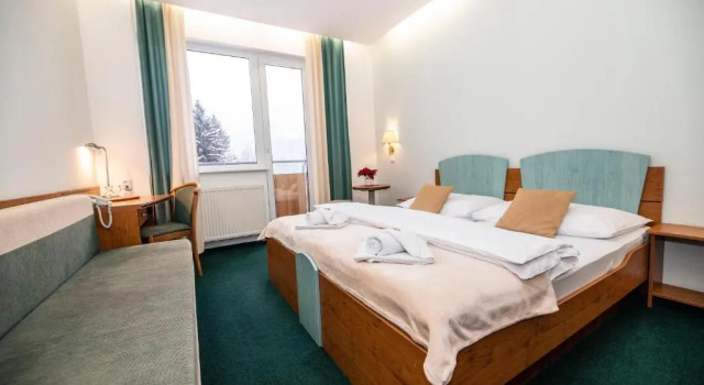 Двухместный номер Standard с балконом Horský hotel Montana