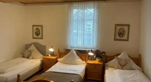 Трёхместный номер Standard Hotel Alt-Lennep