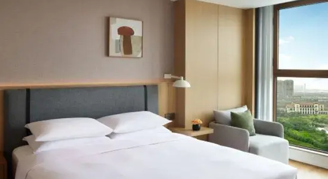 Люкс Xuanli Hotel (Fangte Branch, Hangzhou Bay New Area, Cixi, Ningbo)
