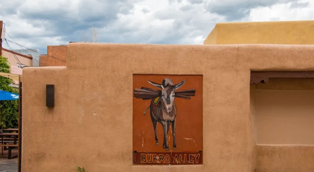 Casa Mapache