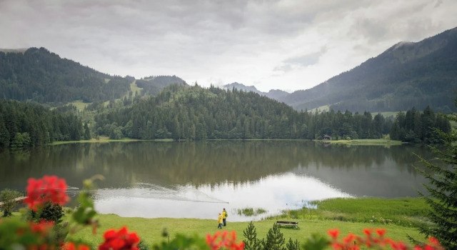 Номер Superior Arabella Alpenhotel am Spitzingsee, a Tribute Portfolio Hotel
