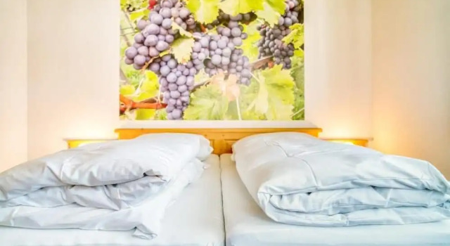 Семейные апартаменты Gästehaus Weingut Politschek