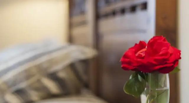 Номер Standard Hotel La Boriza