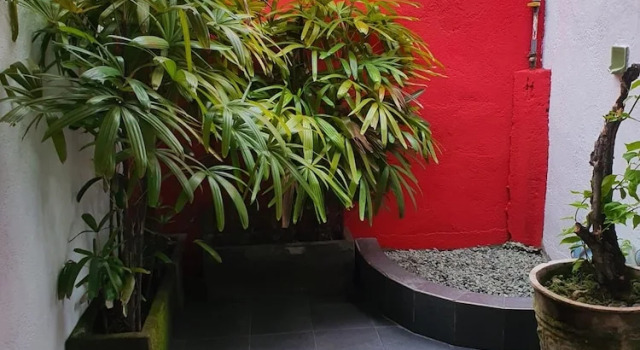 Номер Comfort Zen inn