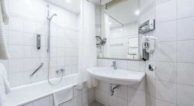 Трёхместный номер Standard PLAZA Hotel Buchhorner Hof