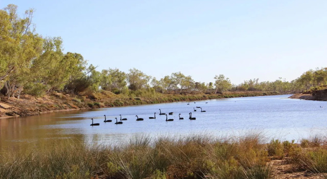 Wooleen Station, Buchen Sie Hotel  
