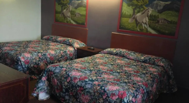 Четырёхместный номер Standard Choice Inn San Antonio