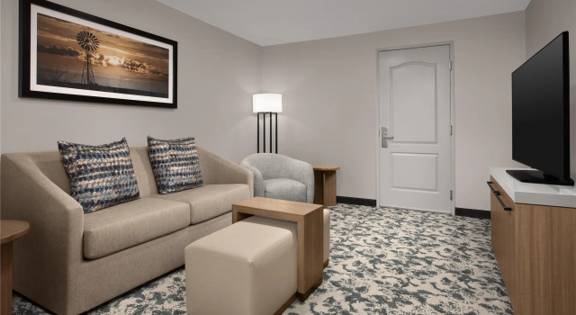 Двухместный полулюкс Hilton Garden Inn Dallas Lewisville
