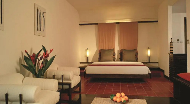 Двухместный номер Luxury Rainforest Resort