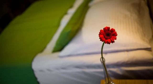 Номер Standard Hotel ***NAT Sarbinowo